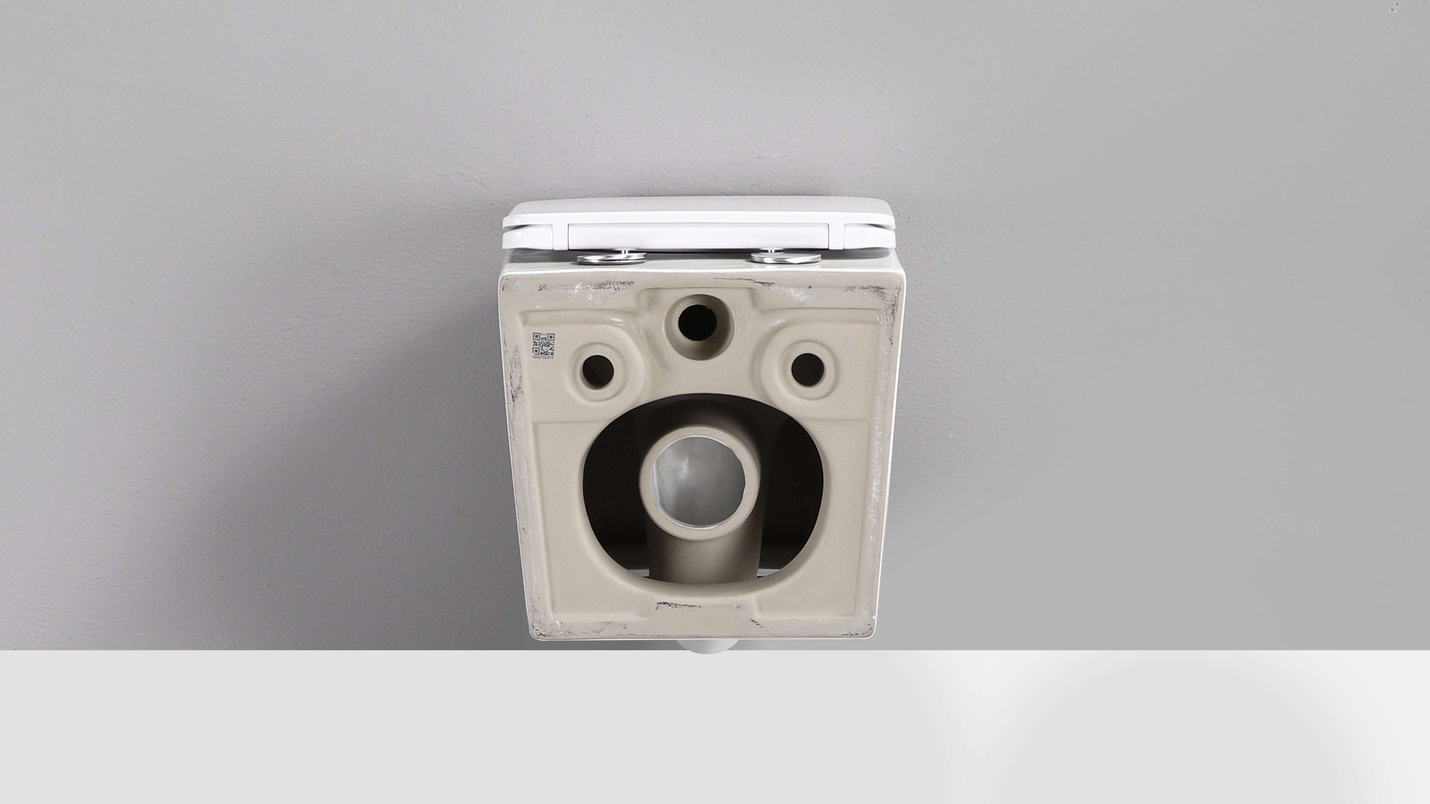 RICO WALL HUNG TOILET PAN & SEAT